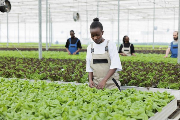 Quelles méthodes éprouvées pour obtenir de bons résultats dans votre recherche d'emploi ?