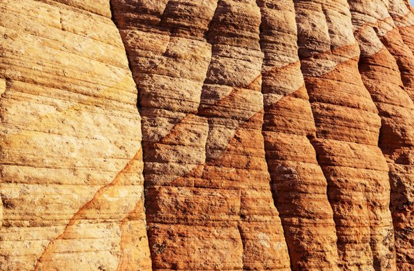 Guide complet pour se former dans une école de management !