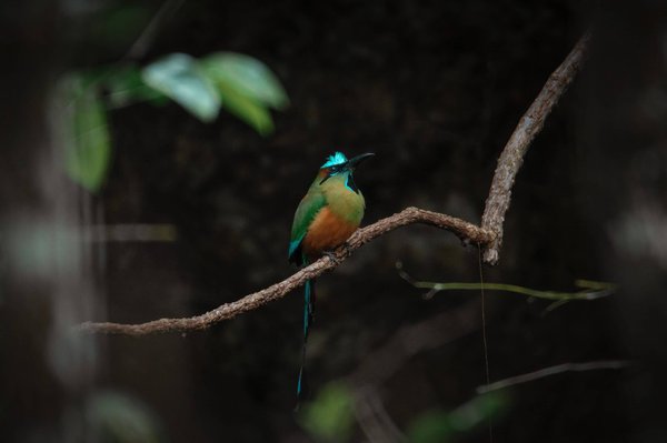 Les escaliers sous un nouvel angle : Comment optimiser l'aménagement et l'esthétique des cages d'escalier
