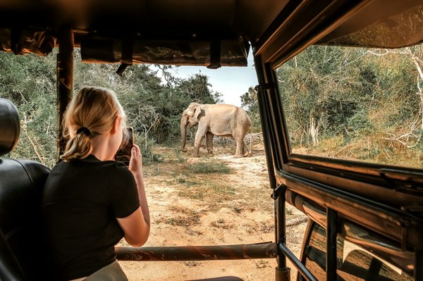 Comment planifier un itinéraire mémorable pour un voyage inoubliable au Kenya ?